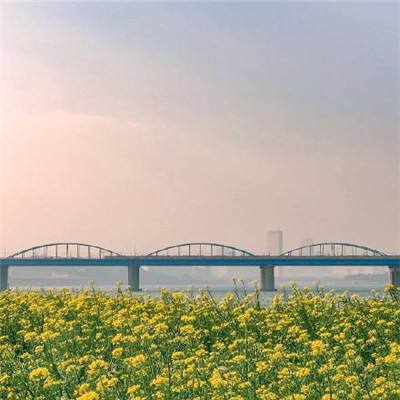 罗湖大望桥7月有望通车，系深圳市区跨度最大的桥梁