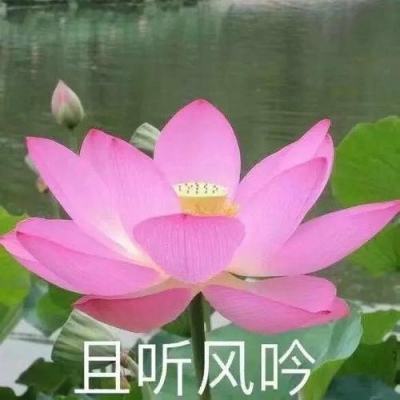 【境内疫情观察】陕西新增165例本土病例（12月30日）