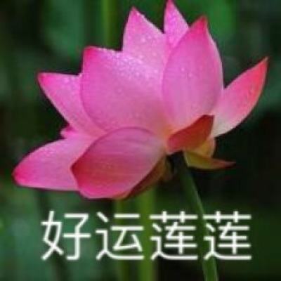 检教同行共护成长河北省人民检察院开展检察开放日活动